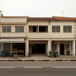 Geylang Conservation Area (D14), Shop House #460764851